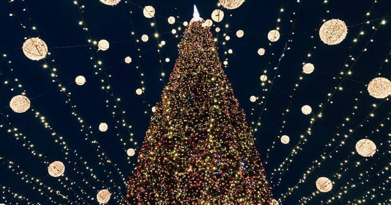 Freepik/pvproductions